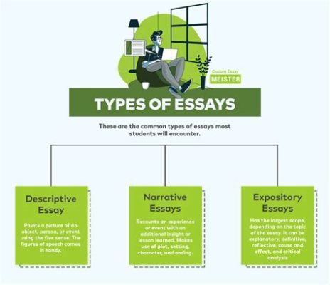 what is an illustration essay and how does it differ from other types of essays?